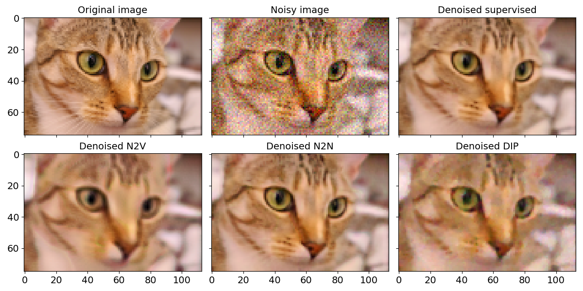 results image