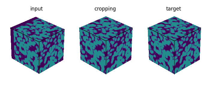 _images/cropping_3D.png
